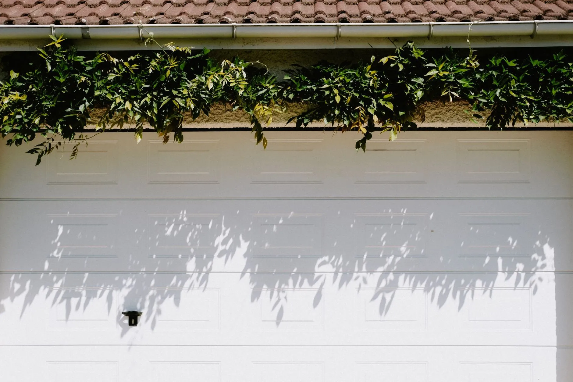 A white ribbed sectional door under a gutter with trailing leaves