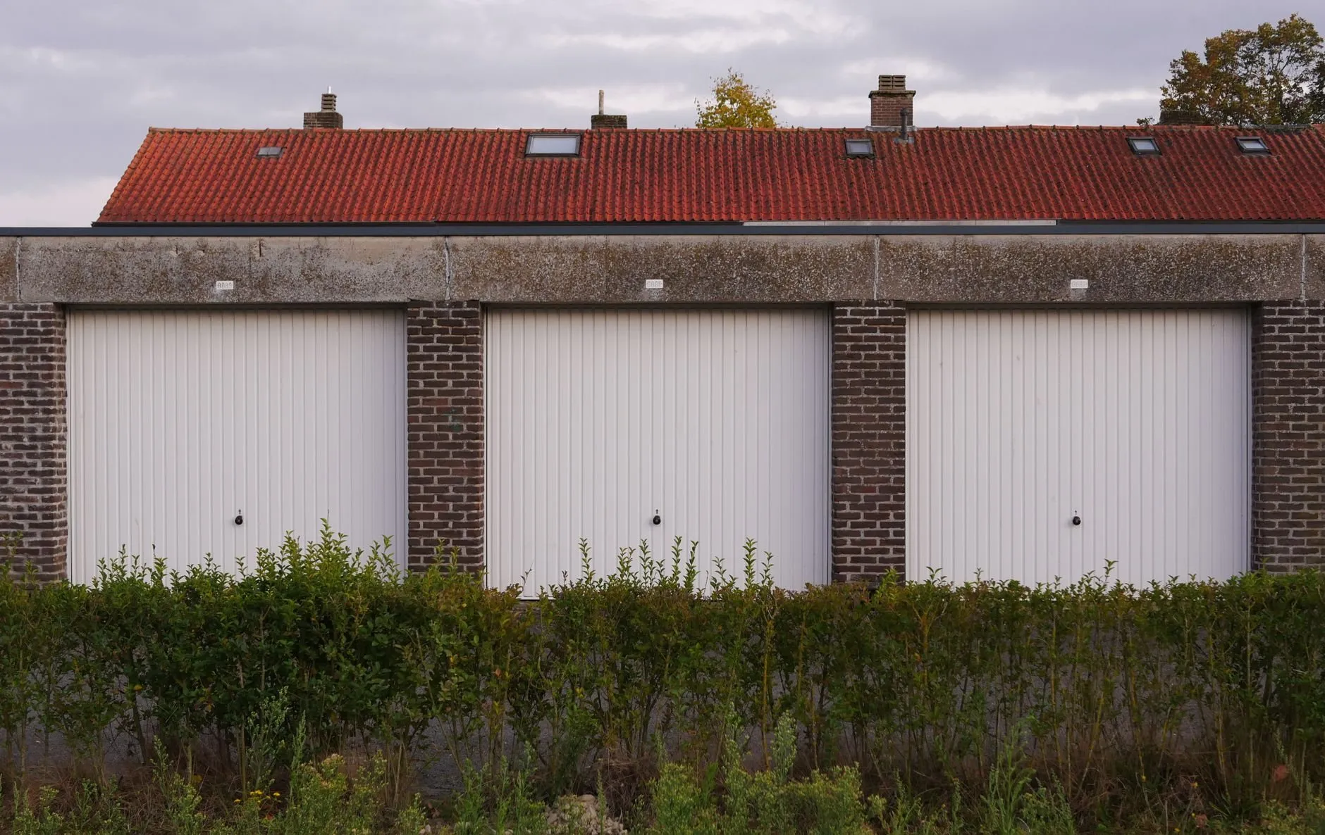 A row of three white up-and-over garage doors in a brick block with a red tiled roof behind a hedge